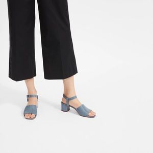 Everlane Block Heel Sandal
